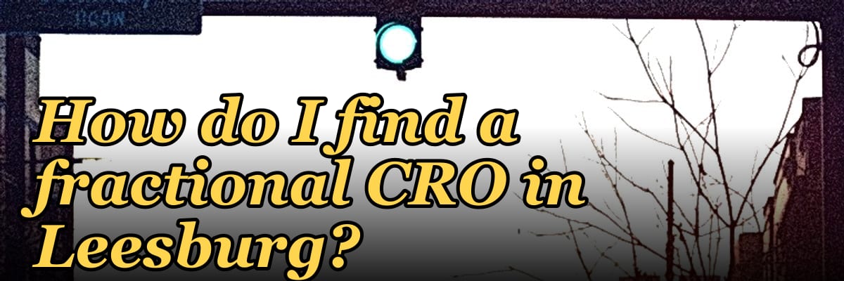 How do I find a fractional CRO in Leesburg in 2027?