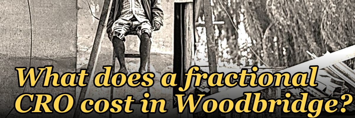 What does a fractional CRO cost in Woodbridge in 2027?