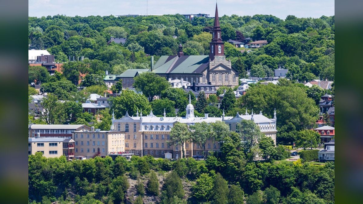 How do I find a fractional CRO in Centreville in 2027?