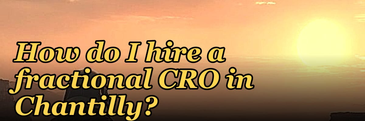 How do I hire a fractional CRO in Chantilly in 2027?