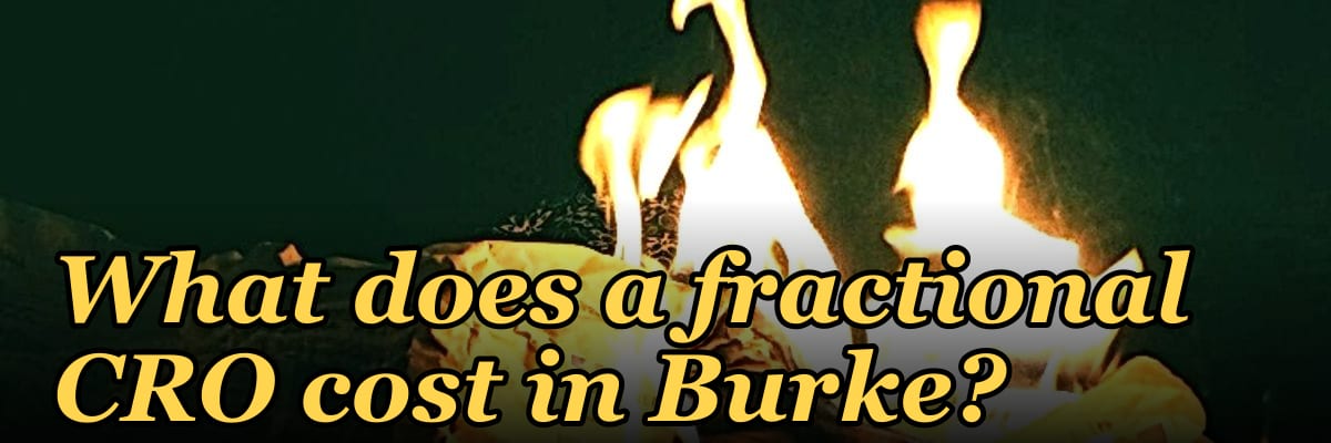 What does a fractional CRO cost in Burke in 2027?