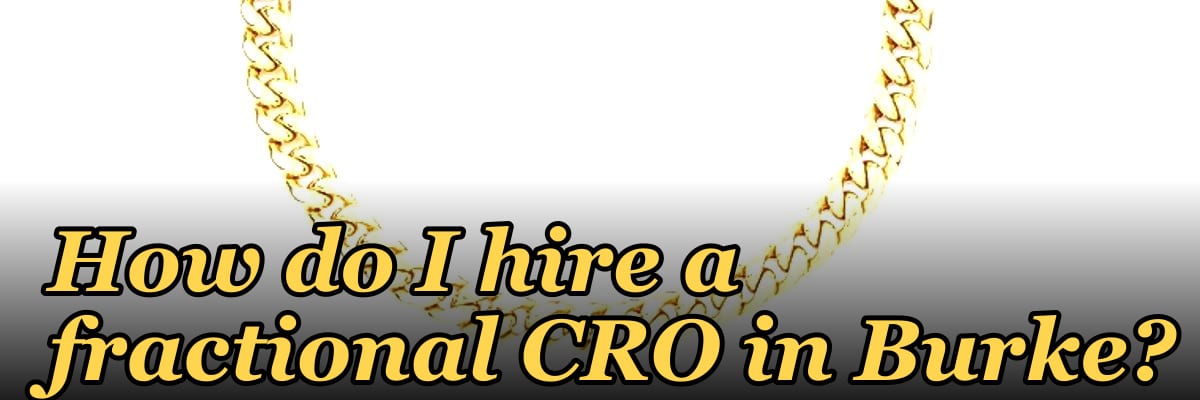 How do I hire a fractional CRO in Burke in 2027?