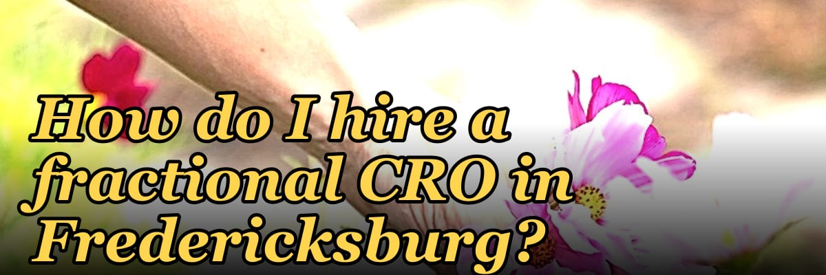 How do I hire a fractional CRO in Fredericksburg in 2027?