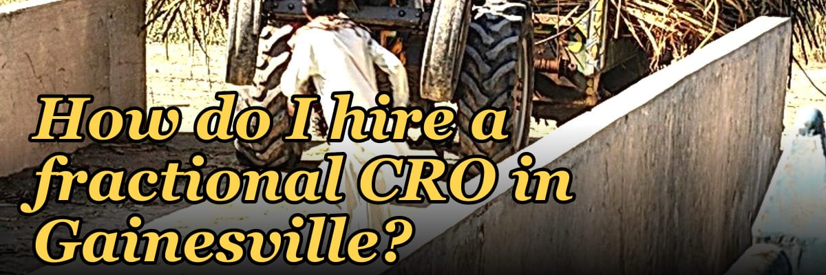 How do I hire a fractional CRO in Gainesville in 2027?