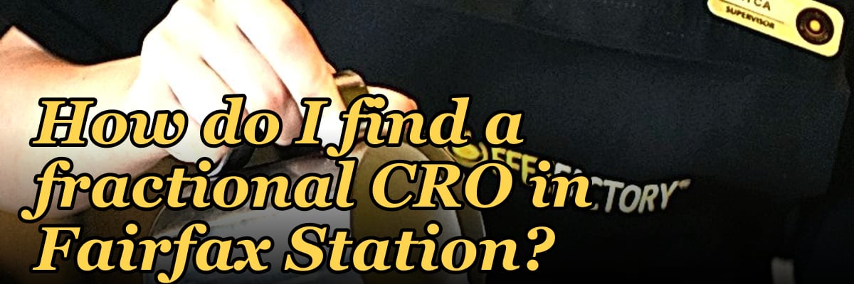 How do I find a fractional CRO in Fairfax Station in 2027?