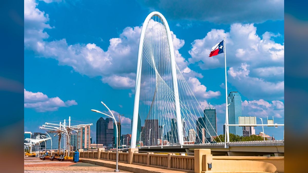 How do I find a fractional CRO in Dallas — figure 4
