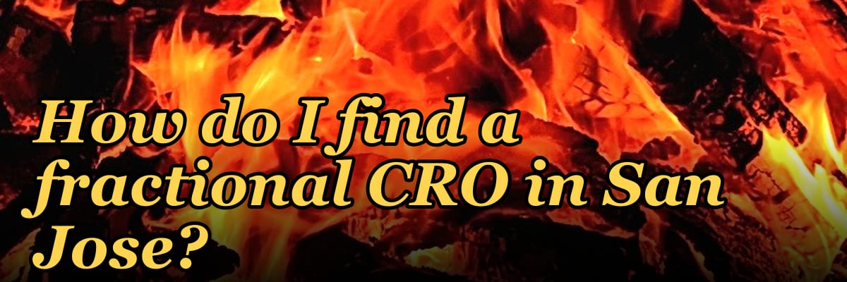 How do I find a fractional CRO in San Jose in 2027?