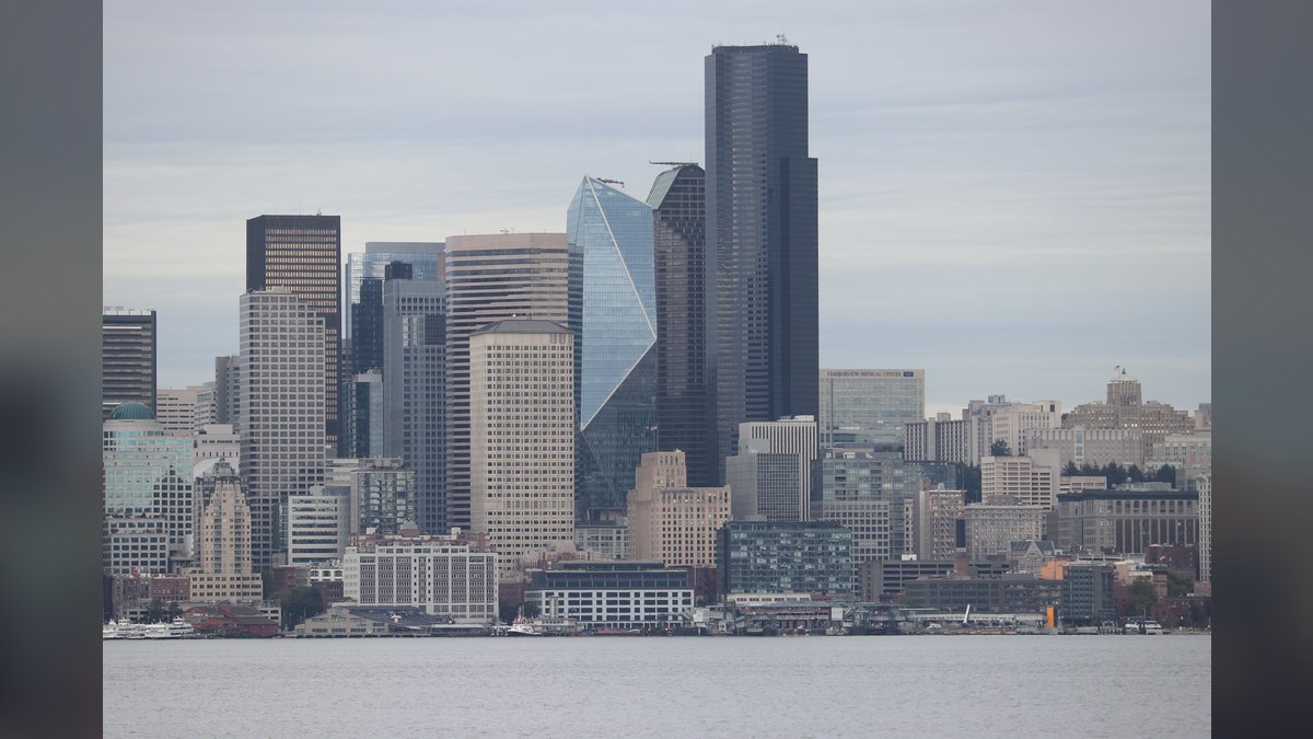How do I find a fractional CRO in Seattle — figure 5