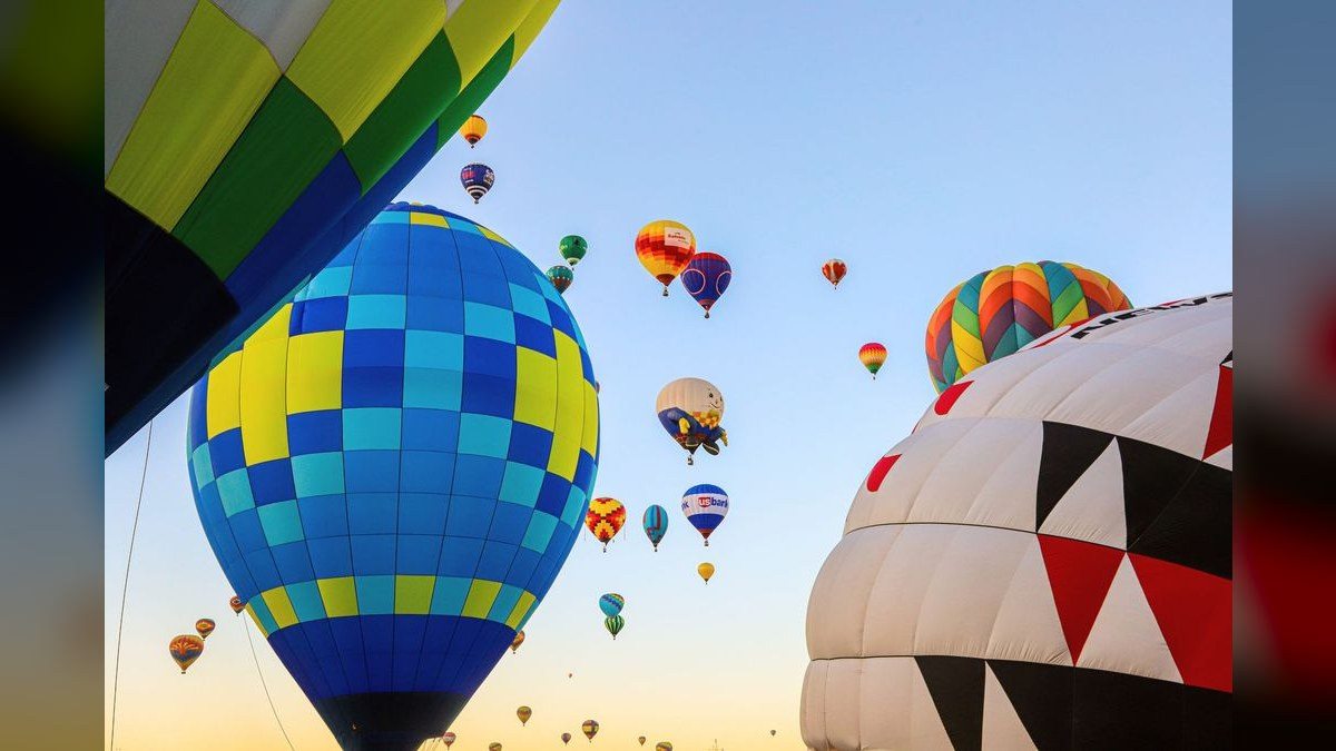 How do I find a fractional CRO in Albuquerque in 2027?