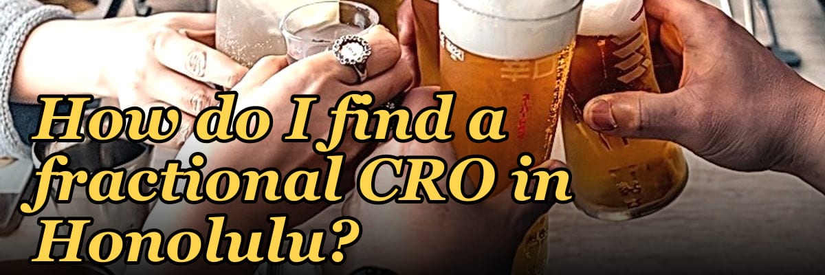 How do I find a fractional CRO in Honolulu in 2027?