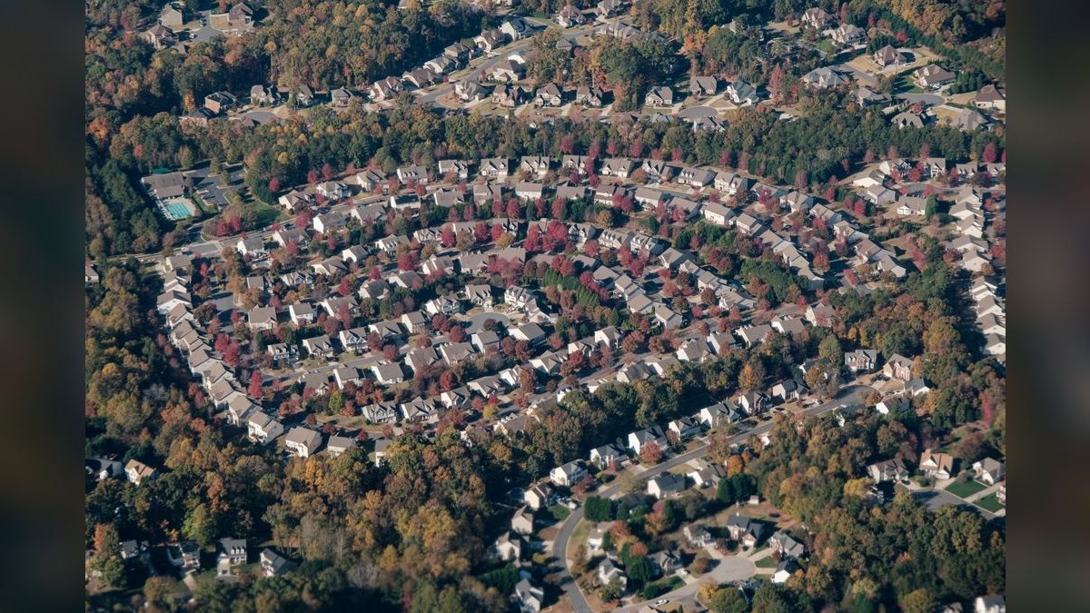 How do I find a fractional CRO in Greensboro — figure 4