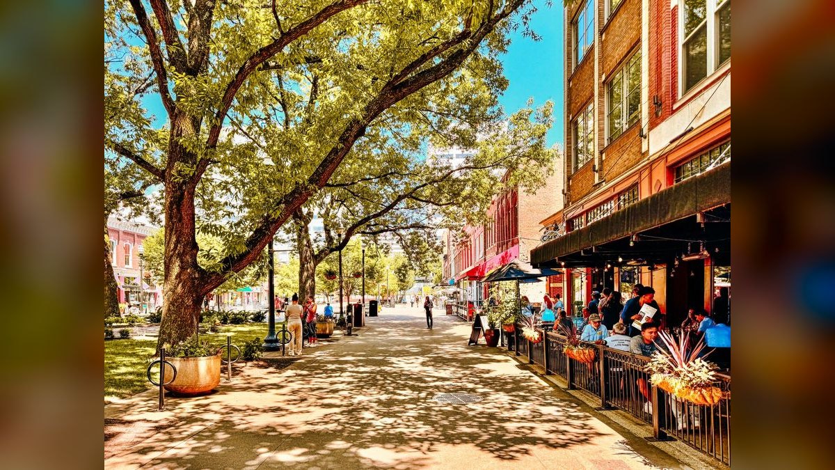 How do I find a fractional CRO in Greensboro — figure 5