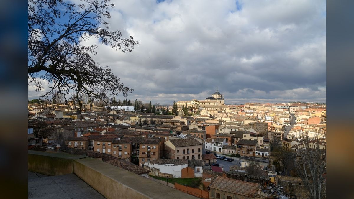 How do I find a fractional CRO in Toledo — figure 5