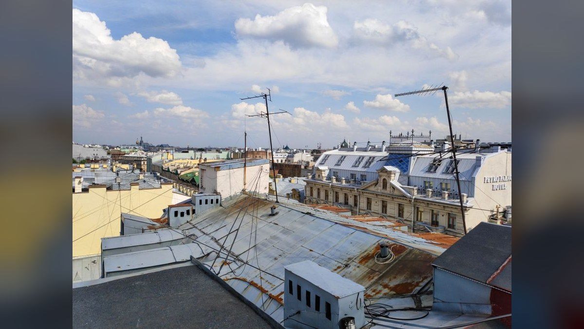 How do I find a fractional CRO in St. Petersburg in 2027?