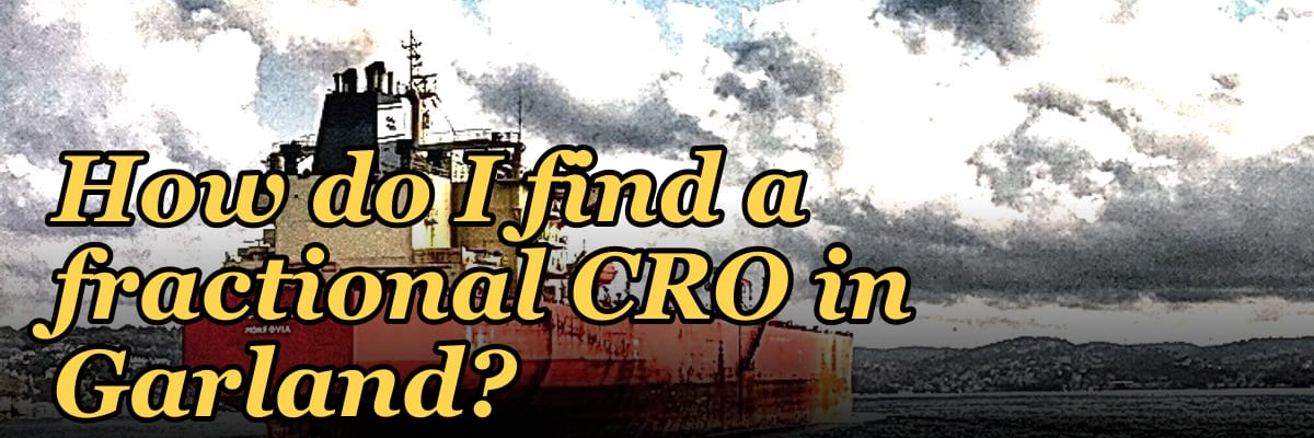 How do I find a fractional CRO in Garland in 2027?