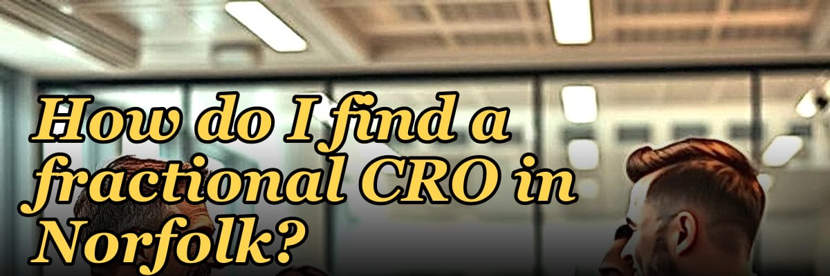 How do I find a fractional CRO in Norfolk in 2027?
