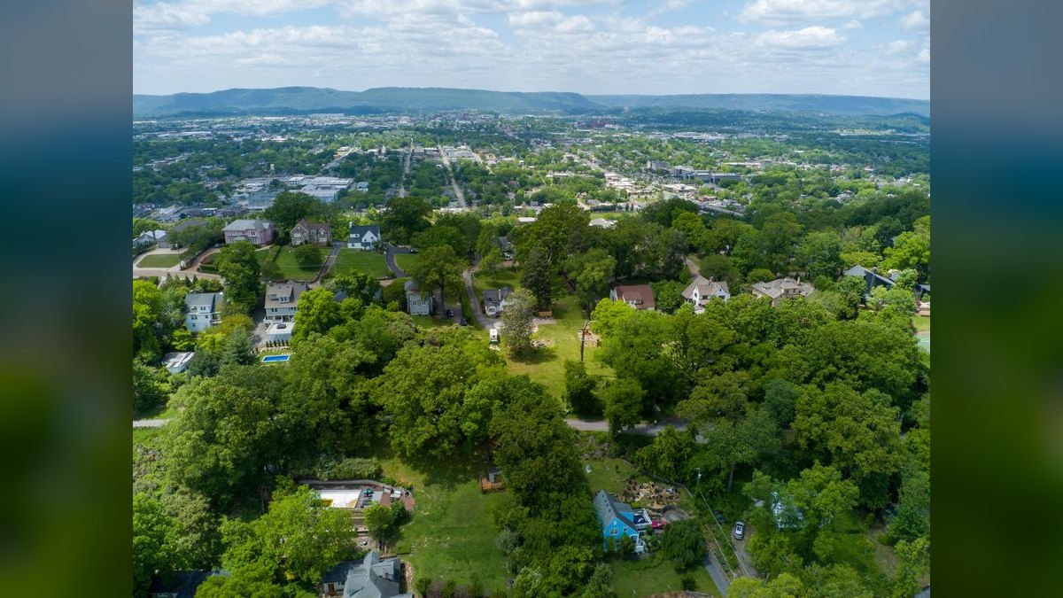 How do I find a fractional CRO in Huntsville — figure 5