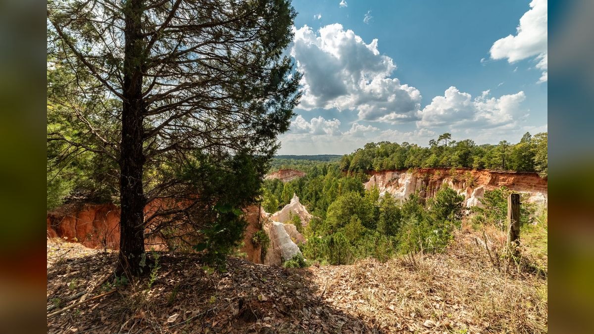 How do I find a fractional CRO in Fayetteville — figure 4