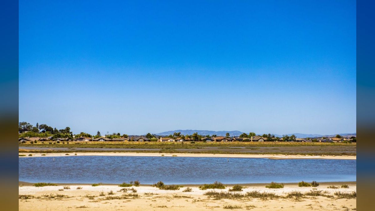 How do I find a fractional CRO in Oxnard — figure 5
