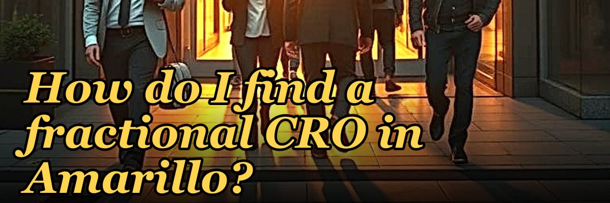 How do I find a fractional CRO in Amarillo in 2027?