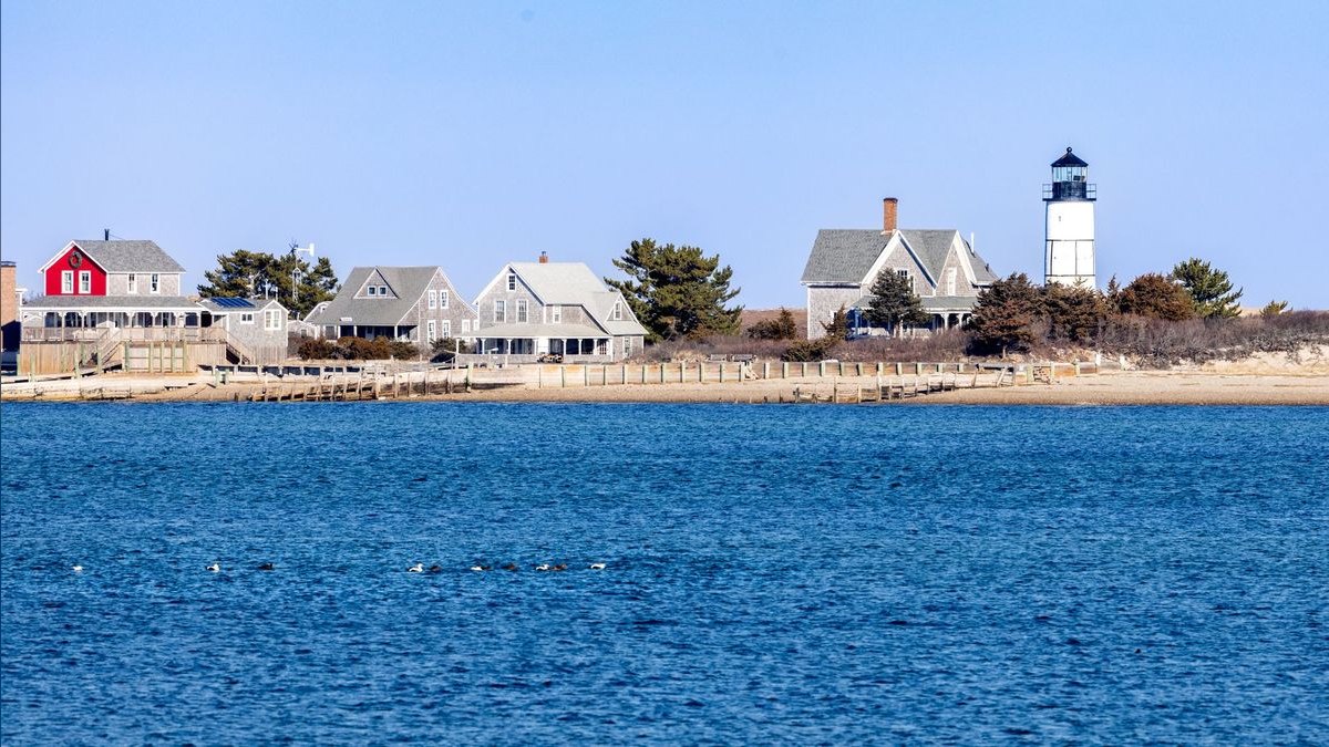 How do I find a fractional CRO in Cape Coral — figure 4