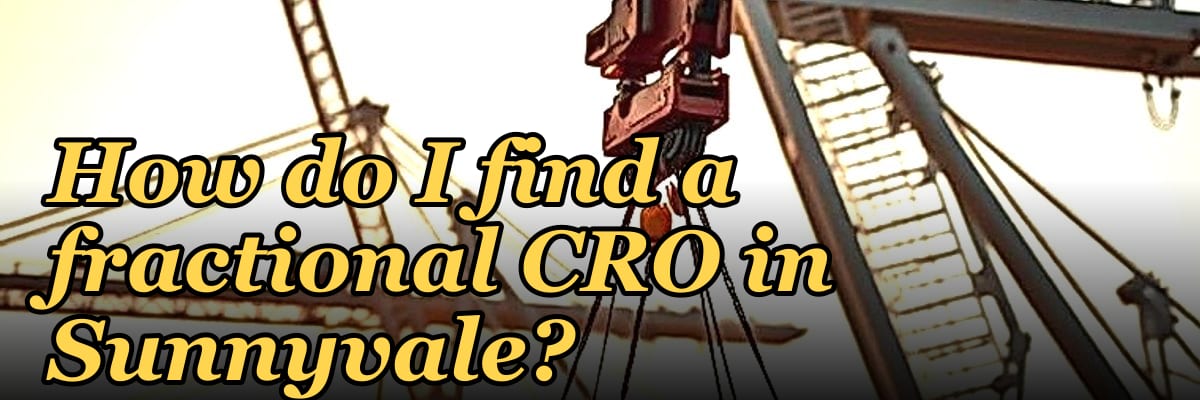 How do I find a fractional CRO in Sunnyvale in 2027?