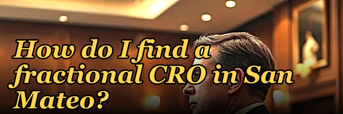 How do I find a fractional CRO in San Mateo in 2027?