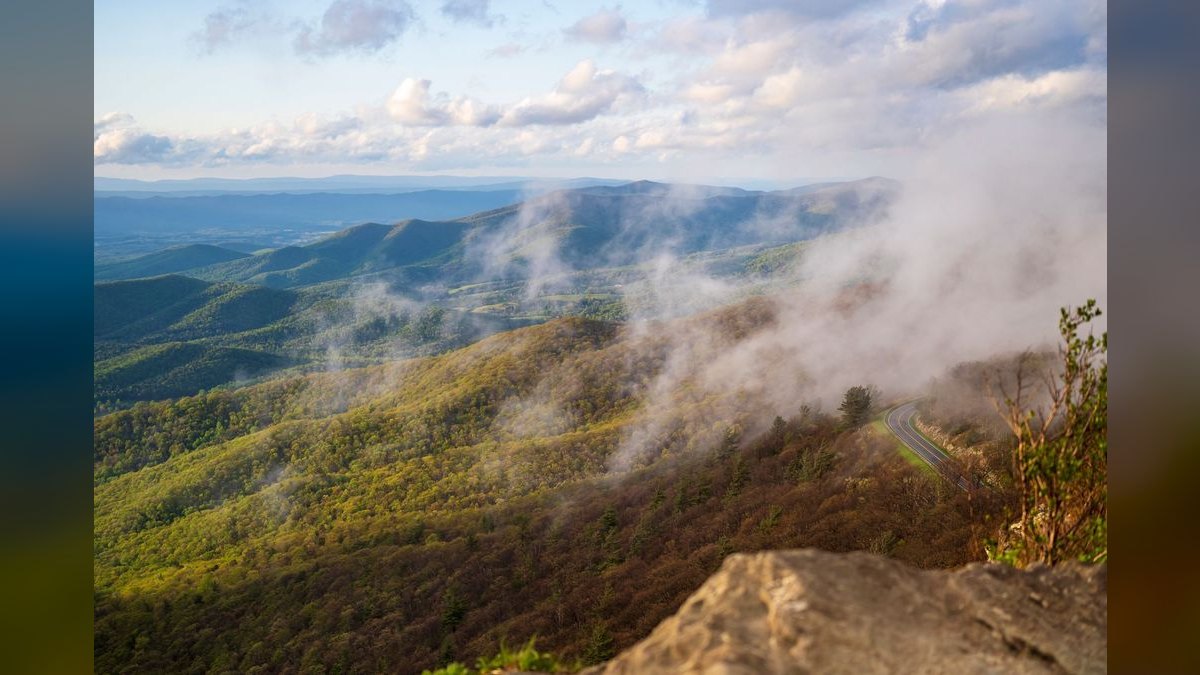How do I find a fractional CRO in Asheville — figure 3