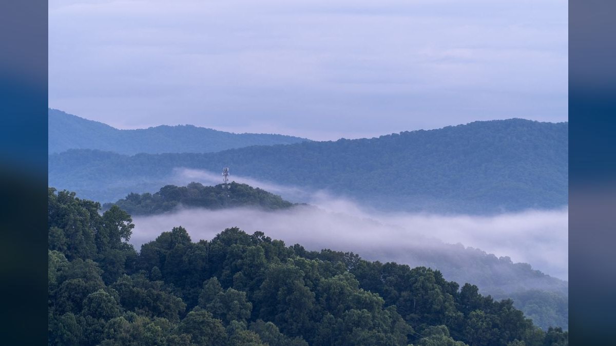 How do I find a fractional CRO in Asheville — figure 4