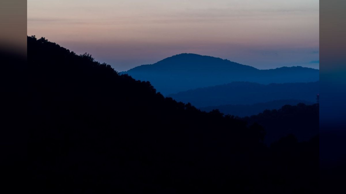 How do I find a fractional CRO in Asheville — figure 5