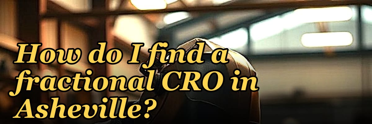 How do I find a fractional CRO in Asheville in 2027?