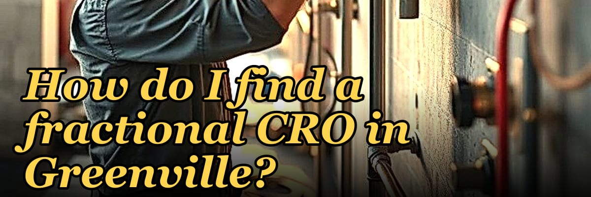 How do I find a fractional CRO in Greenville in 2027?