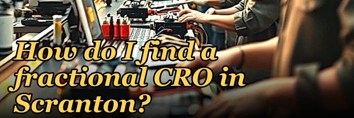 How do I find a fractional CRO in Scranton in 2027?