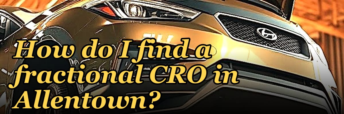 How do I find a fractional CRO in Allentown in 2027?