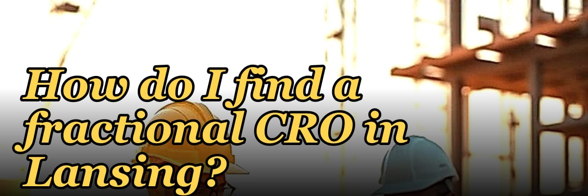 How do I find a fractional CRO in Lansing in 2027?