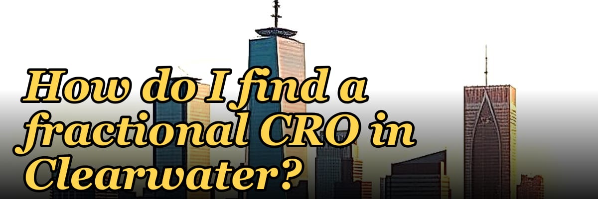 How do I find a fractional CRO in Clearwater in 2027?