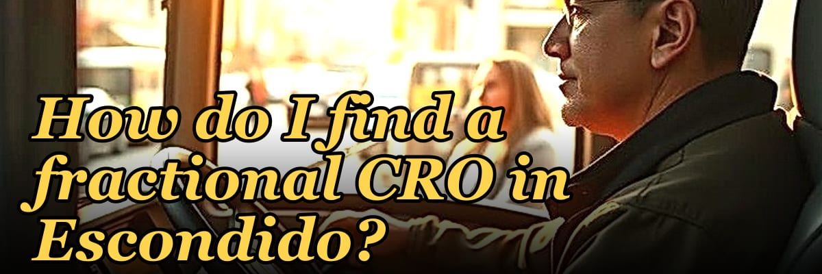 How do I find a fractional CRO in Escondido in 2027?