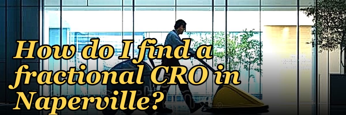 How do I find a fractional CRO in Naperville in 2027?
