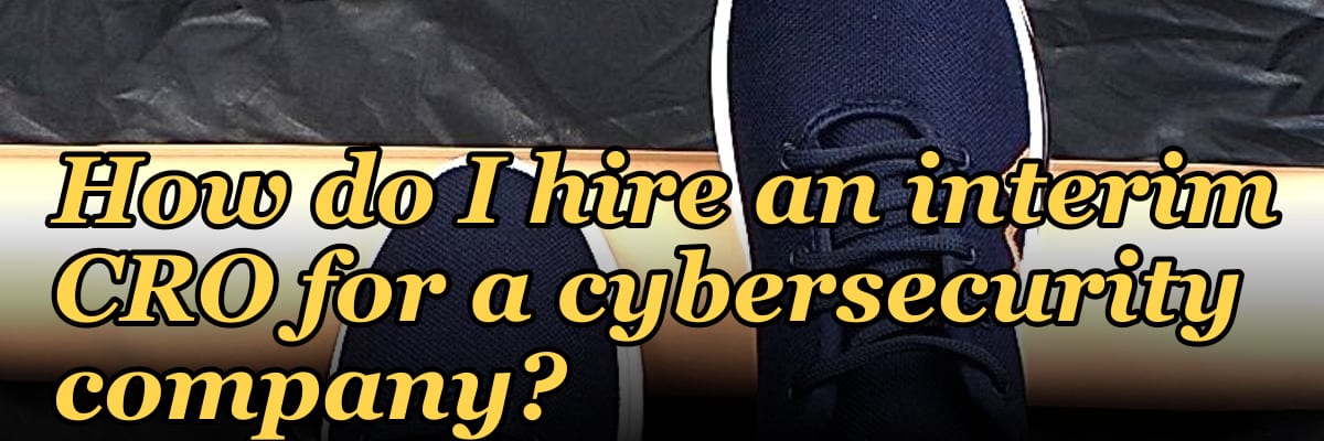 How do I hire an interim CRO for a cybersecurity company in 2027?