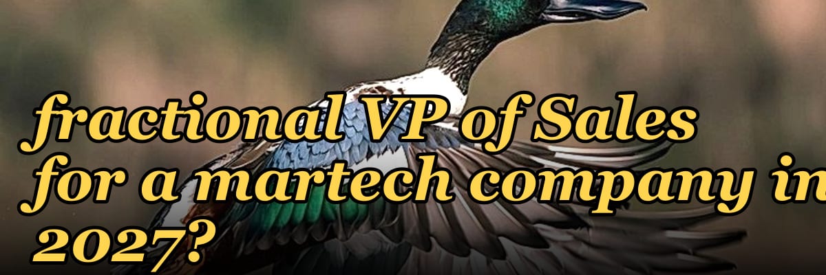 How do I hire a fractional VP of Sales for a martech company in 2027?
