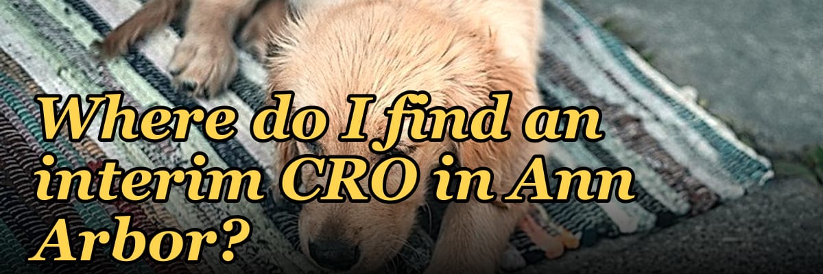 Where do I find an interim CRO in Ann Arbor in 2027?