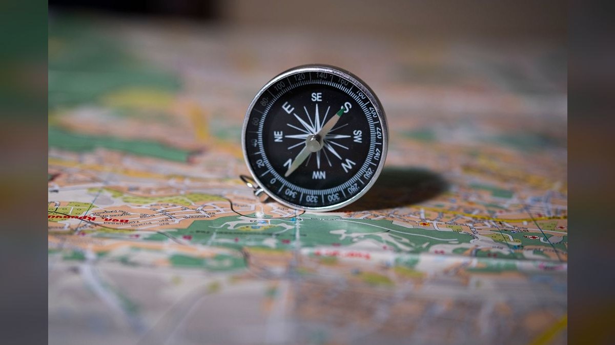 Where do I find an interim CRO in Fort Collins — figure 4