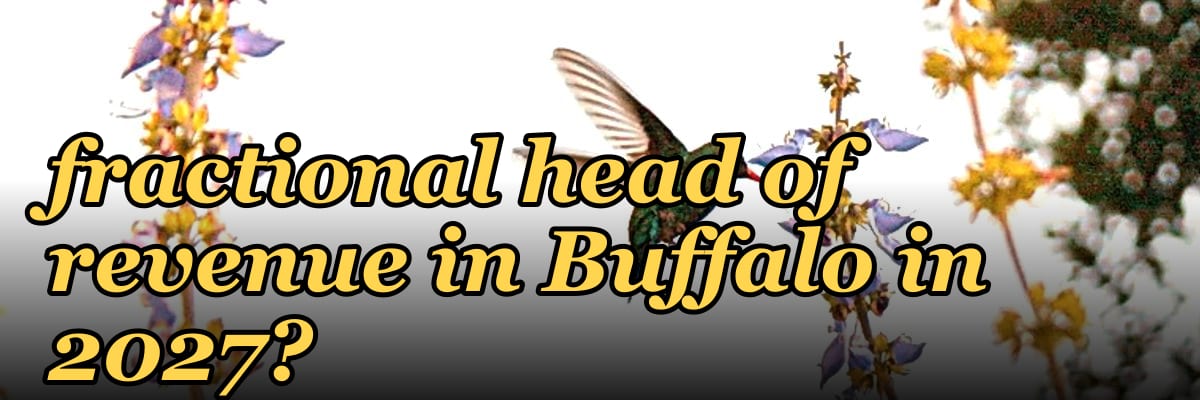 How do I hire a fractional head of revenue in Buffalo in 2027?