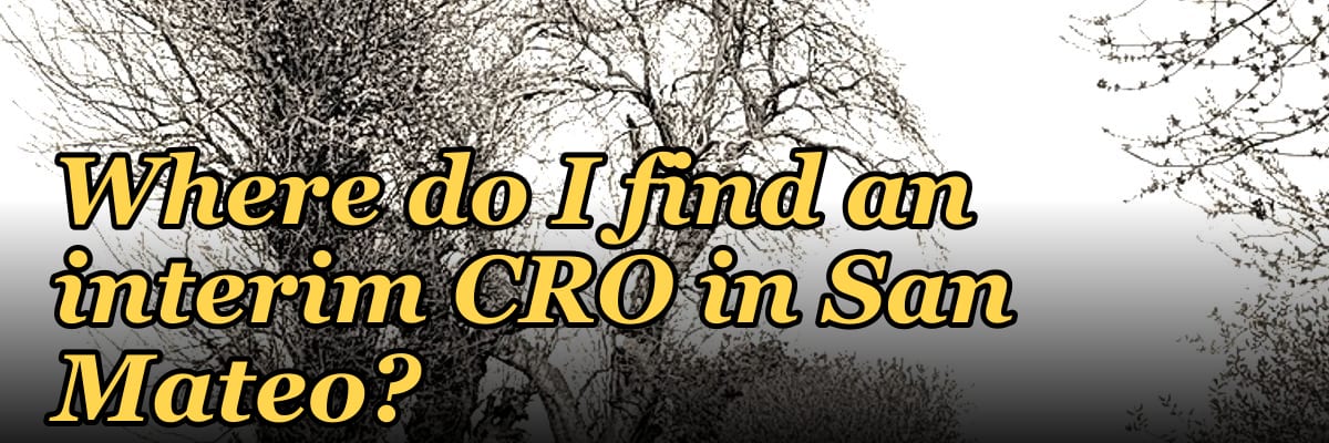 Where do I find an interim CRO in San Mateo in 2027?
