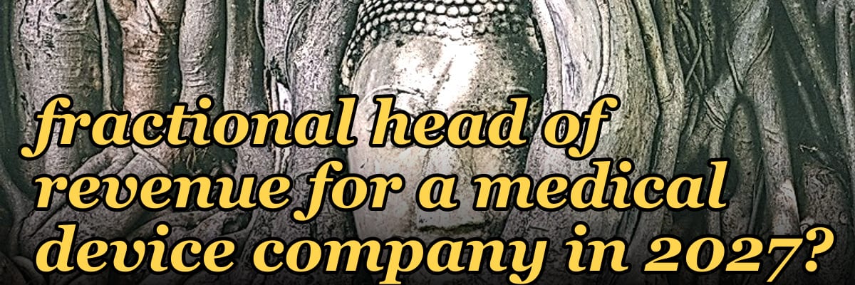How do I hire a fractional head of revenue for a medical device company in 2027?