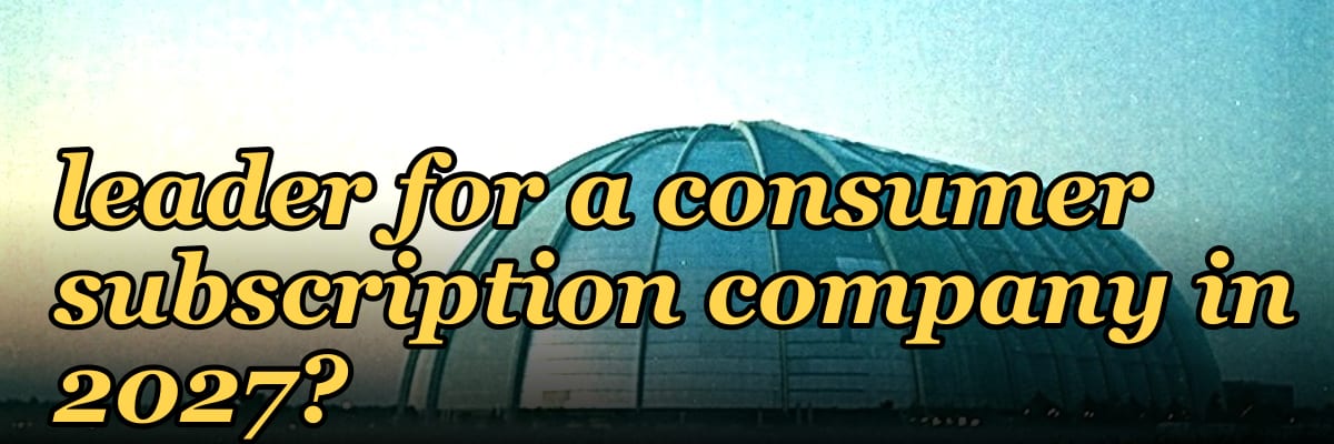 How do I hire a fractional revenue leader for a consumer subscription company in 2027?