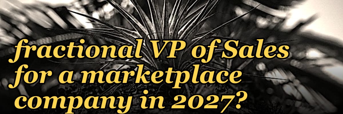 How do I hire a fractional VP of Sales for a marketplace company in 2027?
