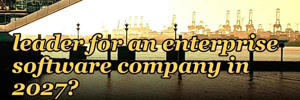 How do I hire a fractional revenue leader for an enterprise software company in 2027?
