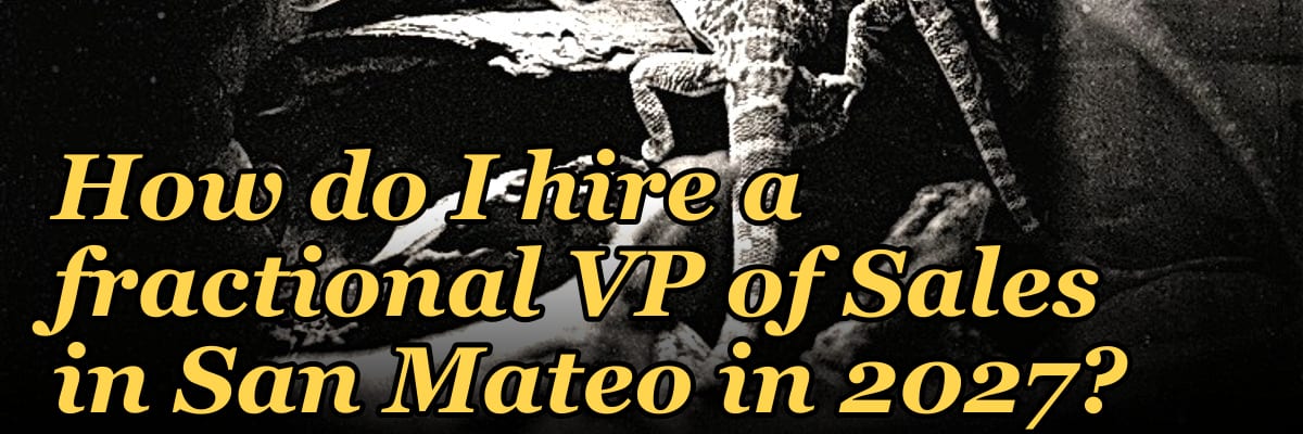 How do I hire a fractional VP of Sales in San Mateo in 2027?
