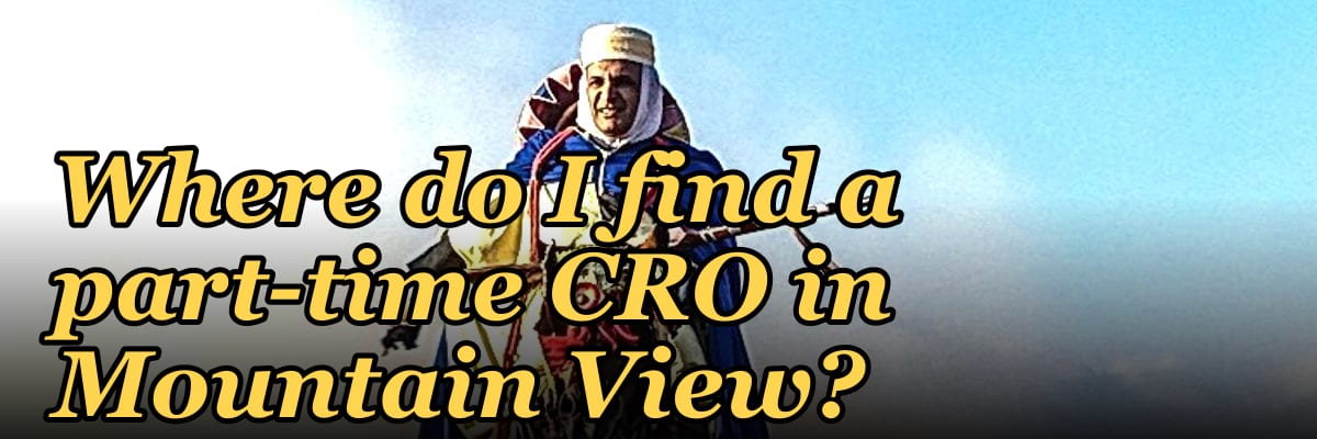 Where do I find a part-time CRO in Mountain View in 2027?